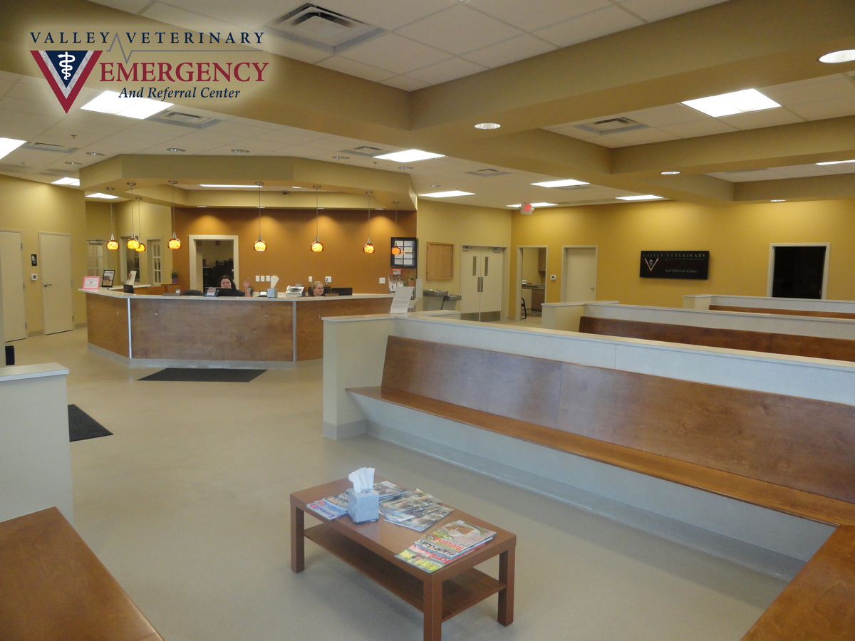 Valley Veterinary Emergency & Referral Center Photo