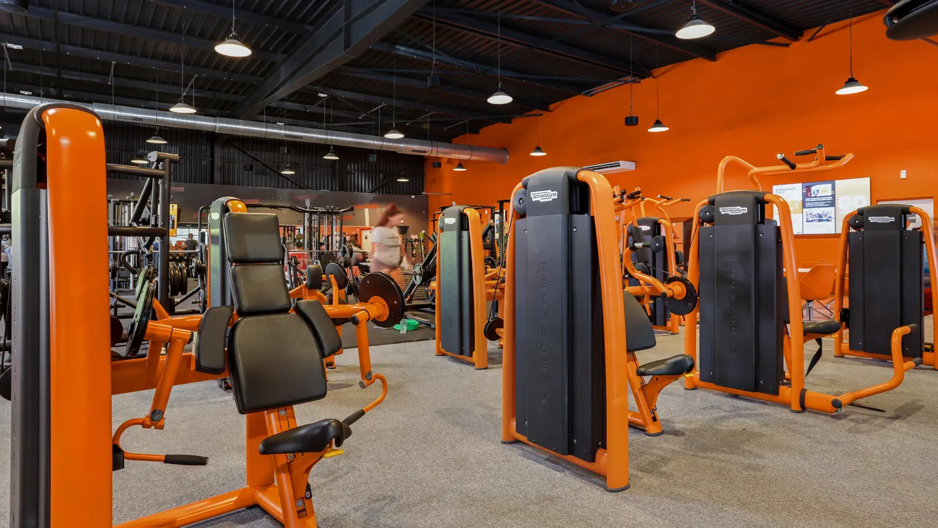 Miniature de la galerie