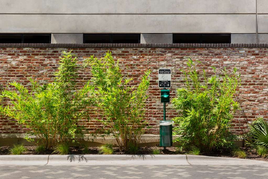 Home2 Suites by Hilton Austin East Side 5th Street Image