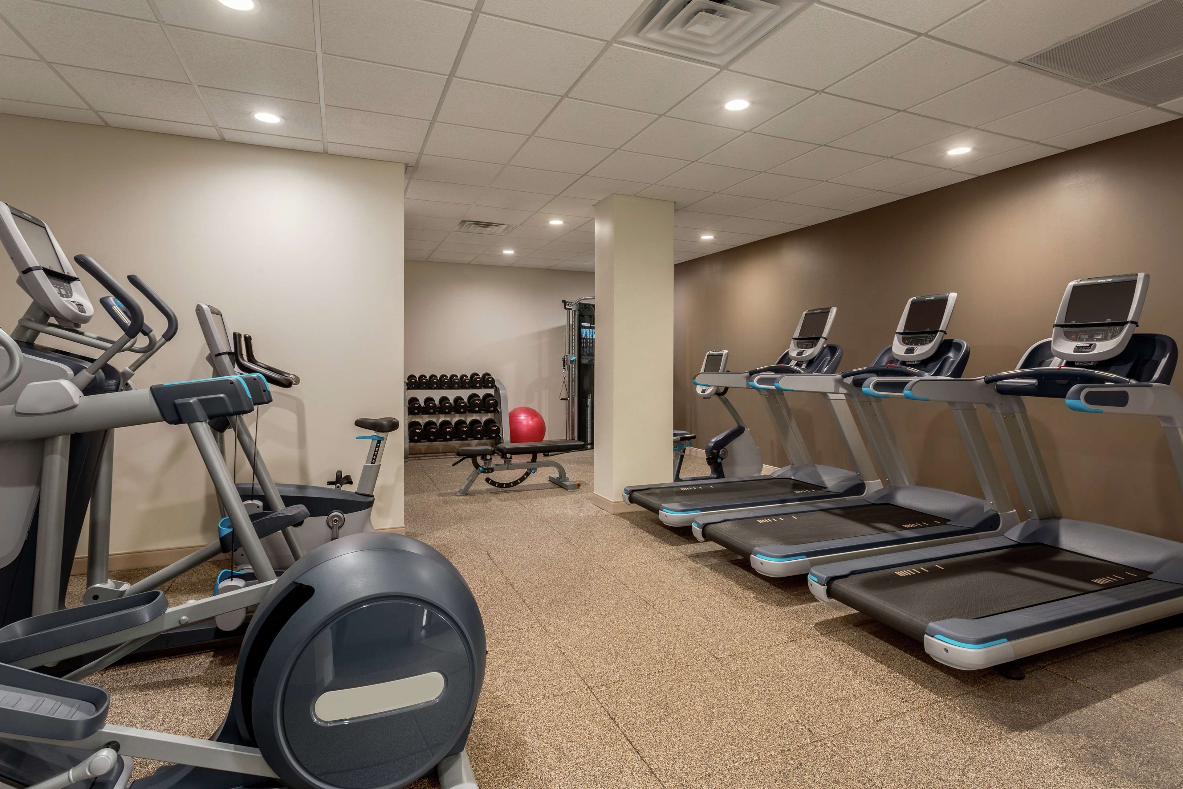 Health club  fitness center  gym