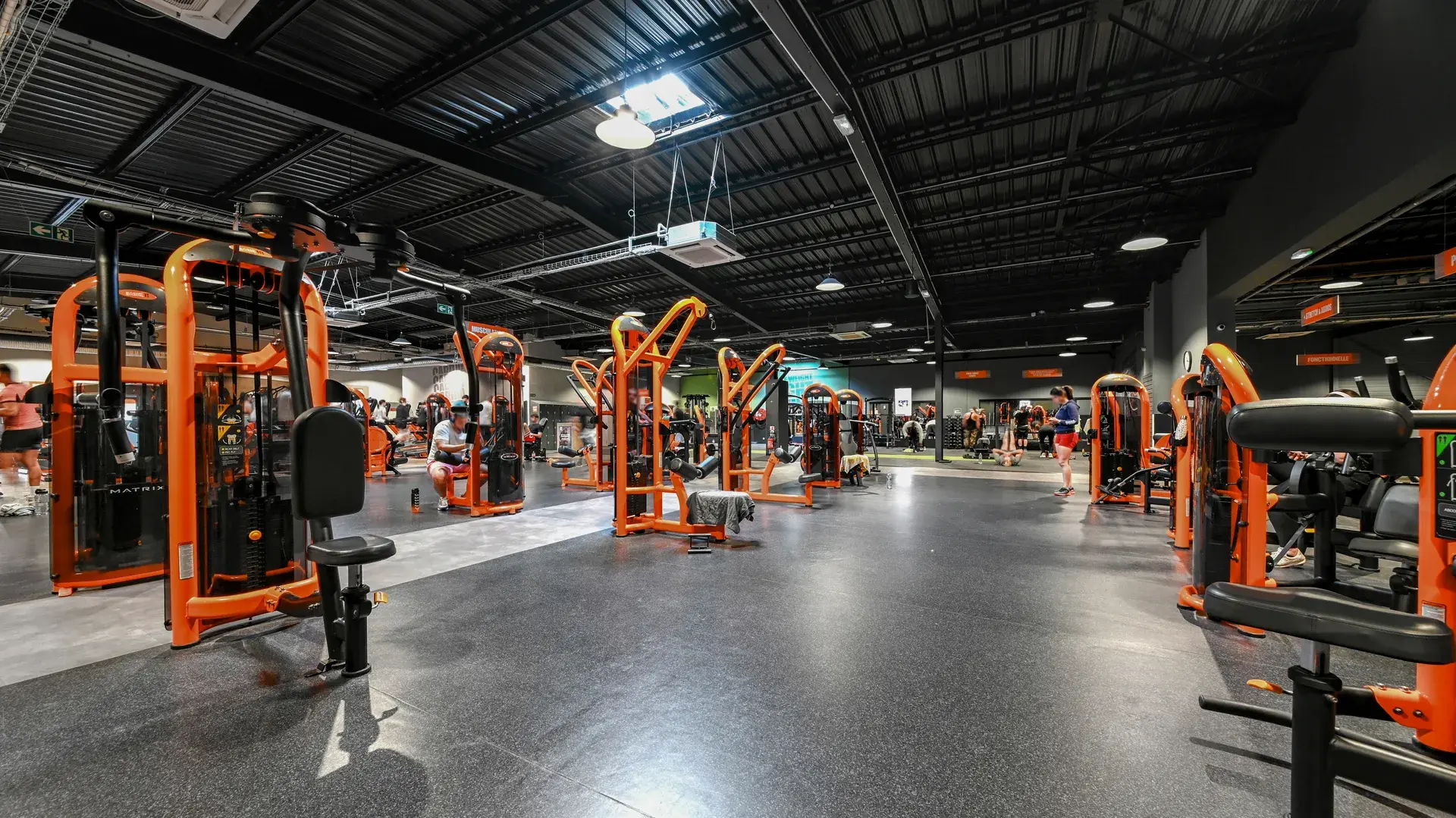 Miniature de la galerie