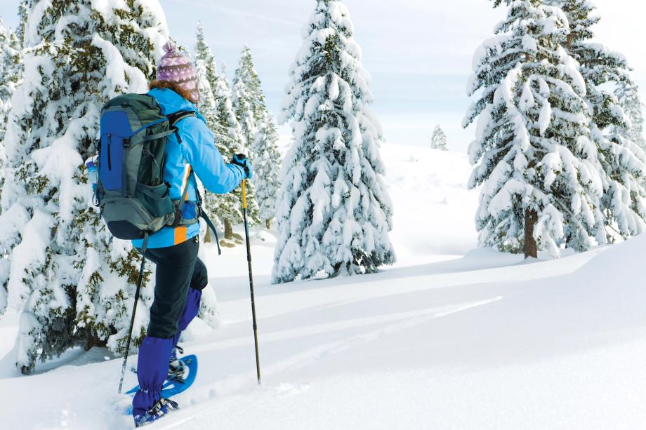 Winter sports at Crystal Mountain or The Summit at Snoqualmie Ridge are only an hour away