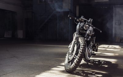 Gallery thumbnail