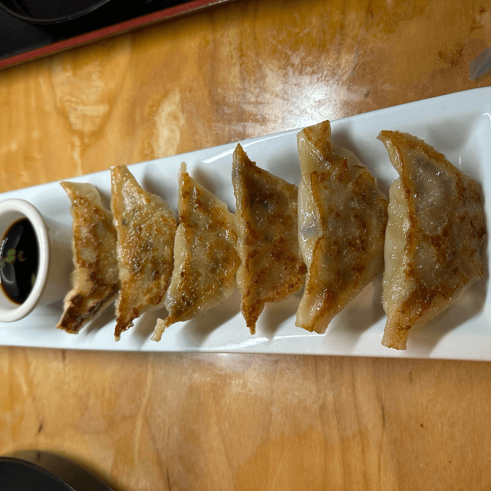 Homemade Gyoza