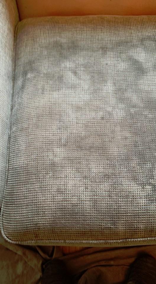 Upholstery Cleaning - Before