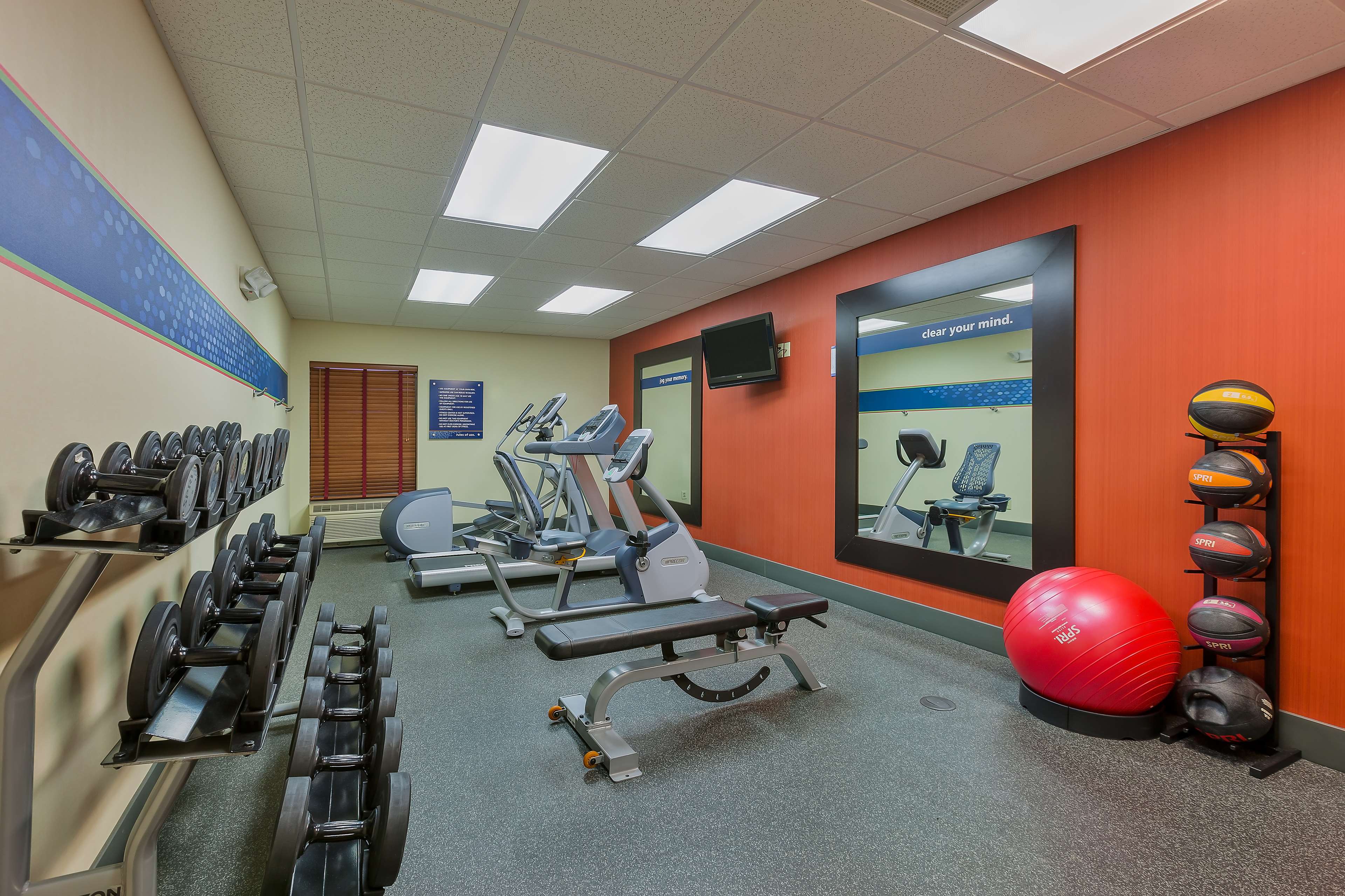 Health club  fitness center  gym