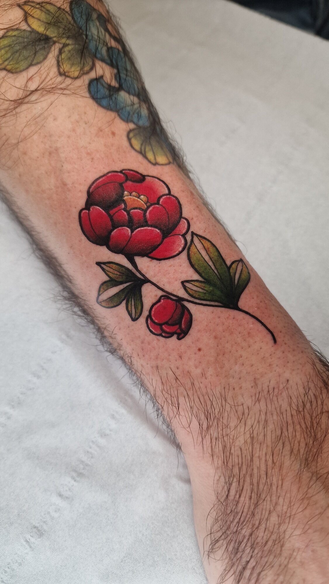 Miniature de la galerie