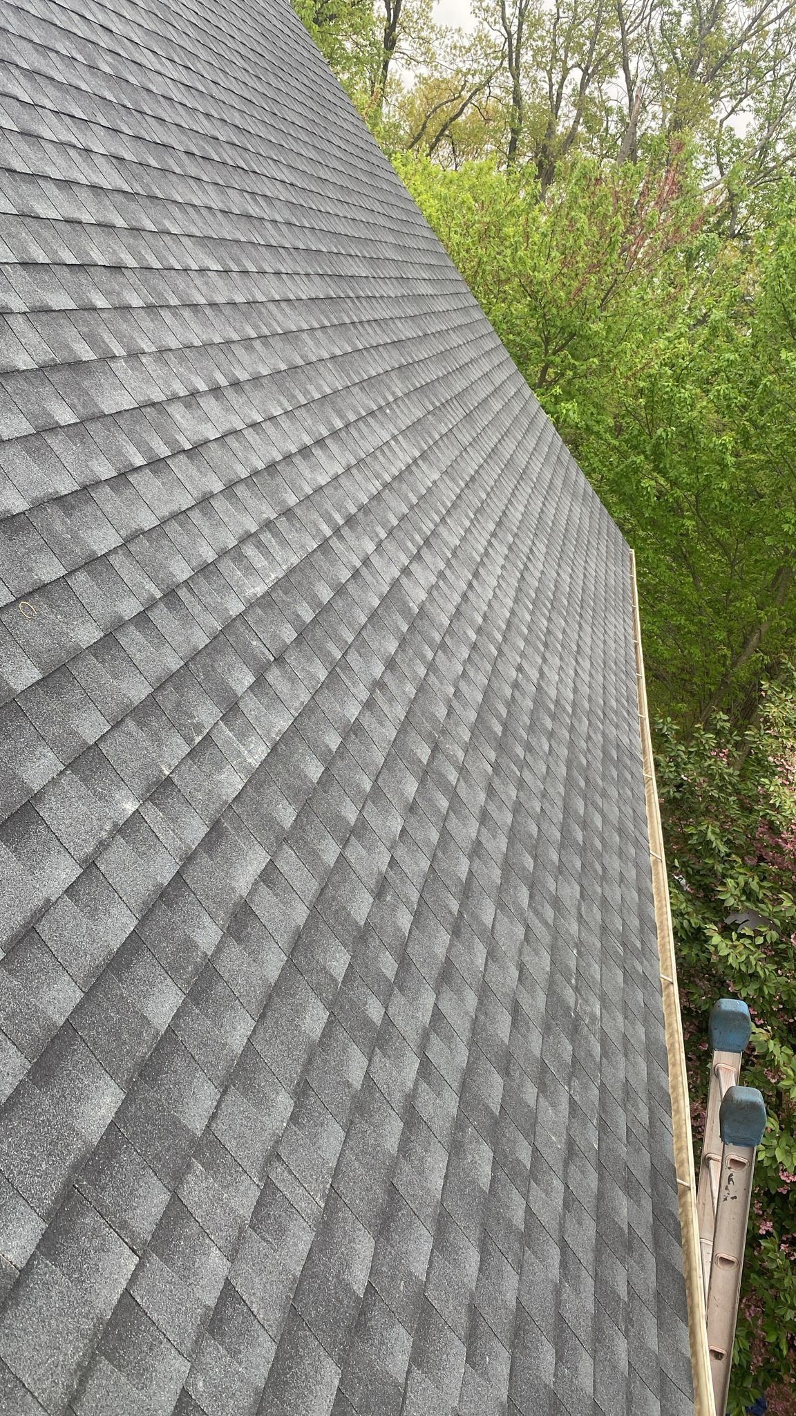 Radiant Home Services Image