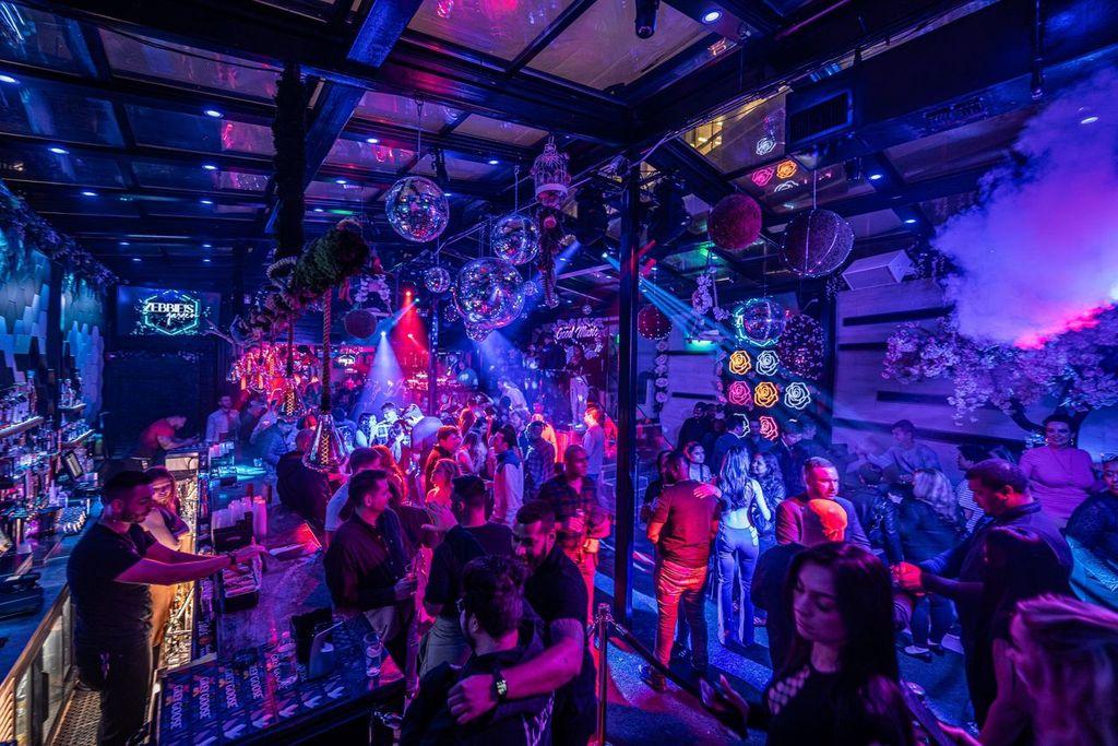 Zebbie's Garden Image