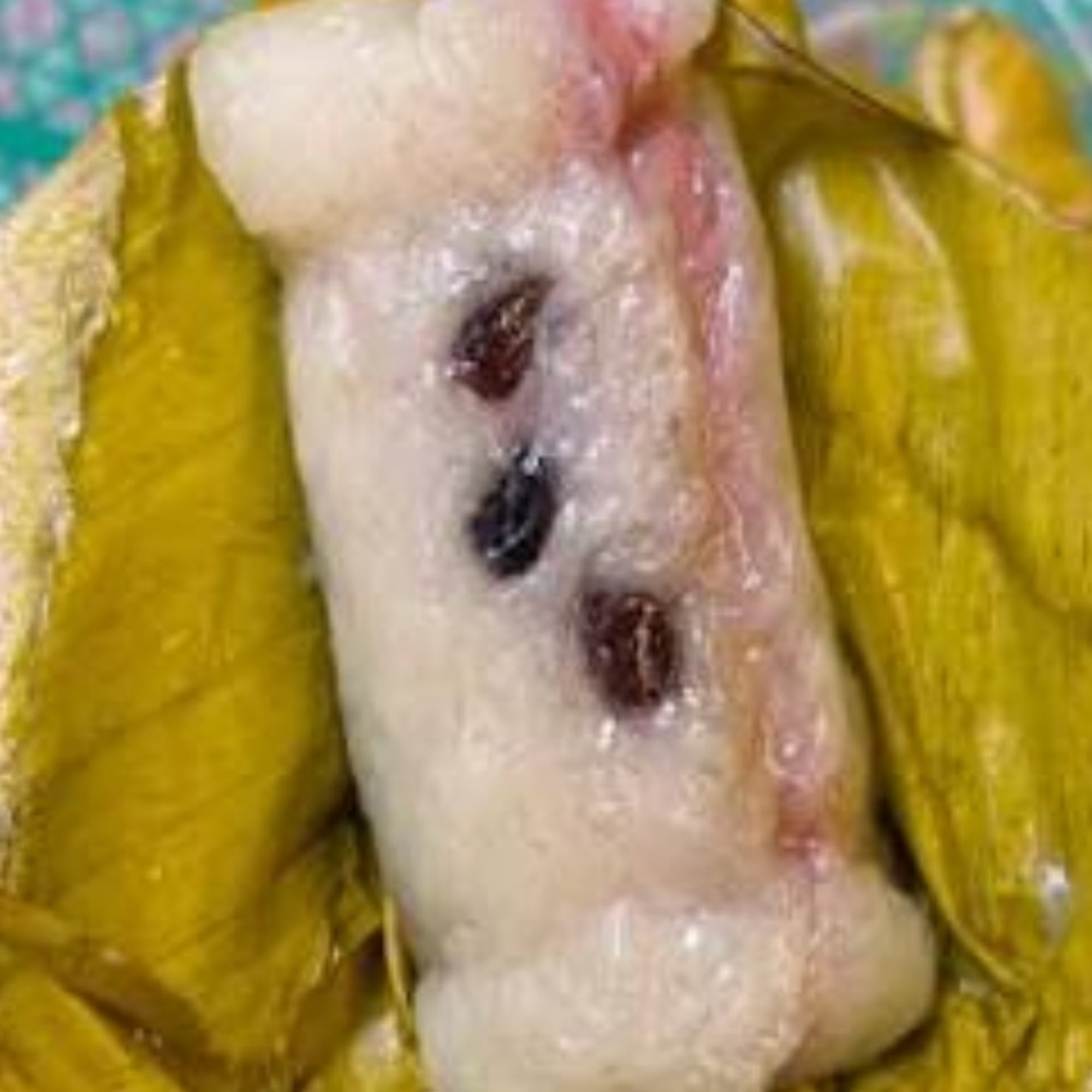 Sticky Rice Taro