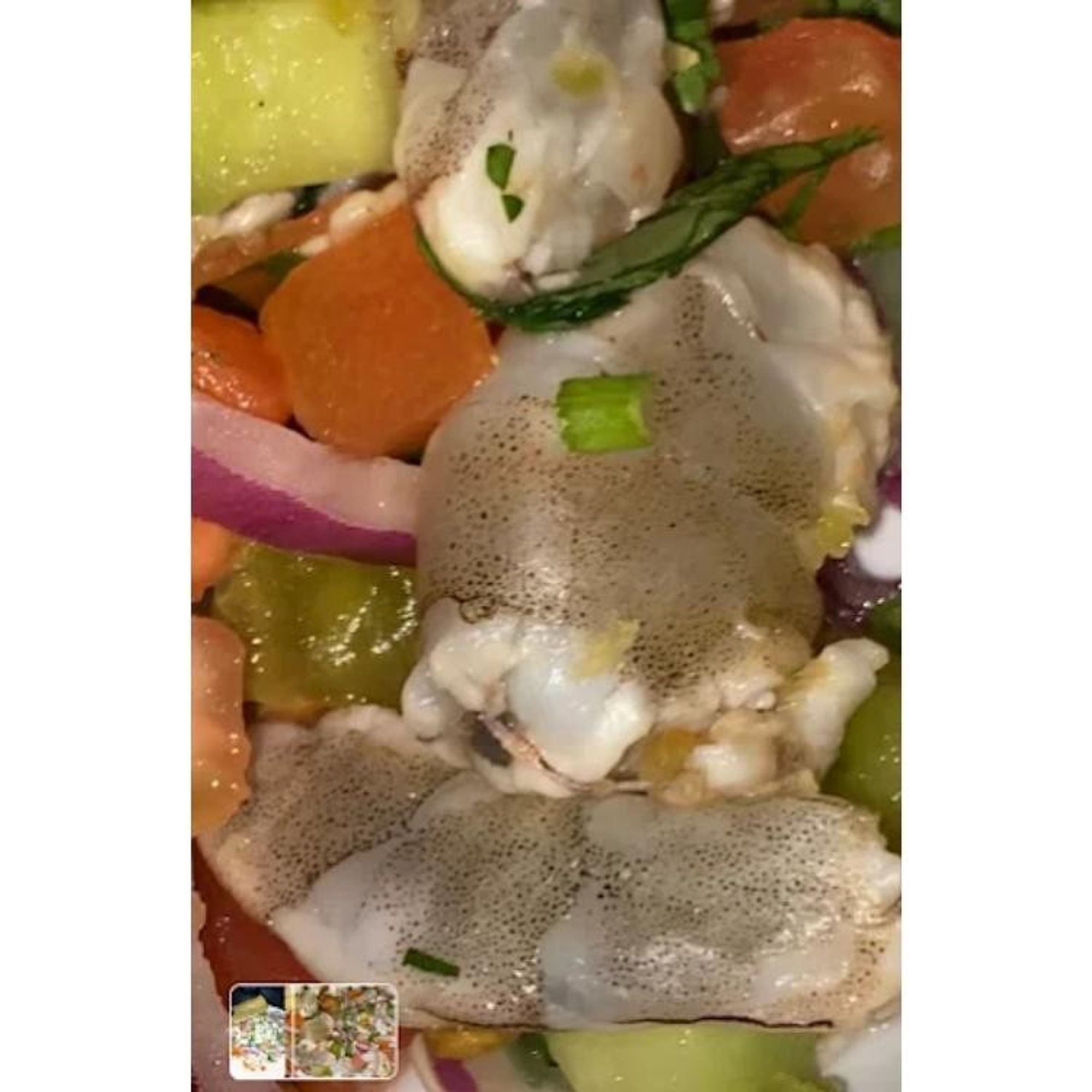 Filete Al Vapor Mixto