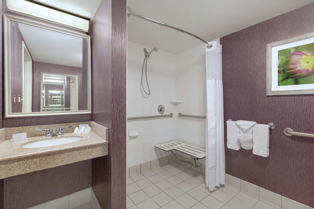 Hilton Garden Inn Springfield, MA Image