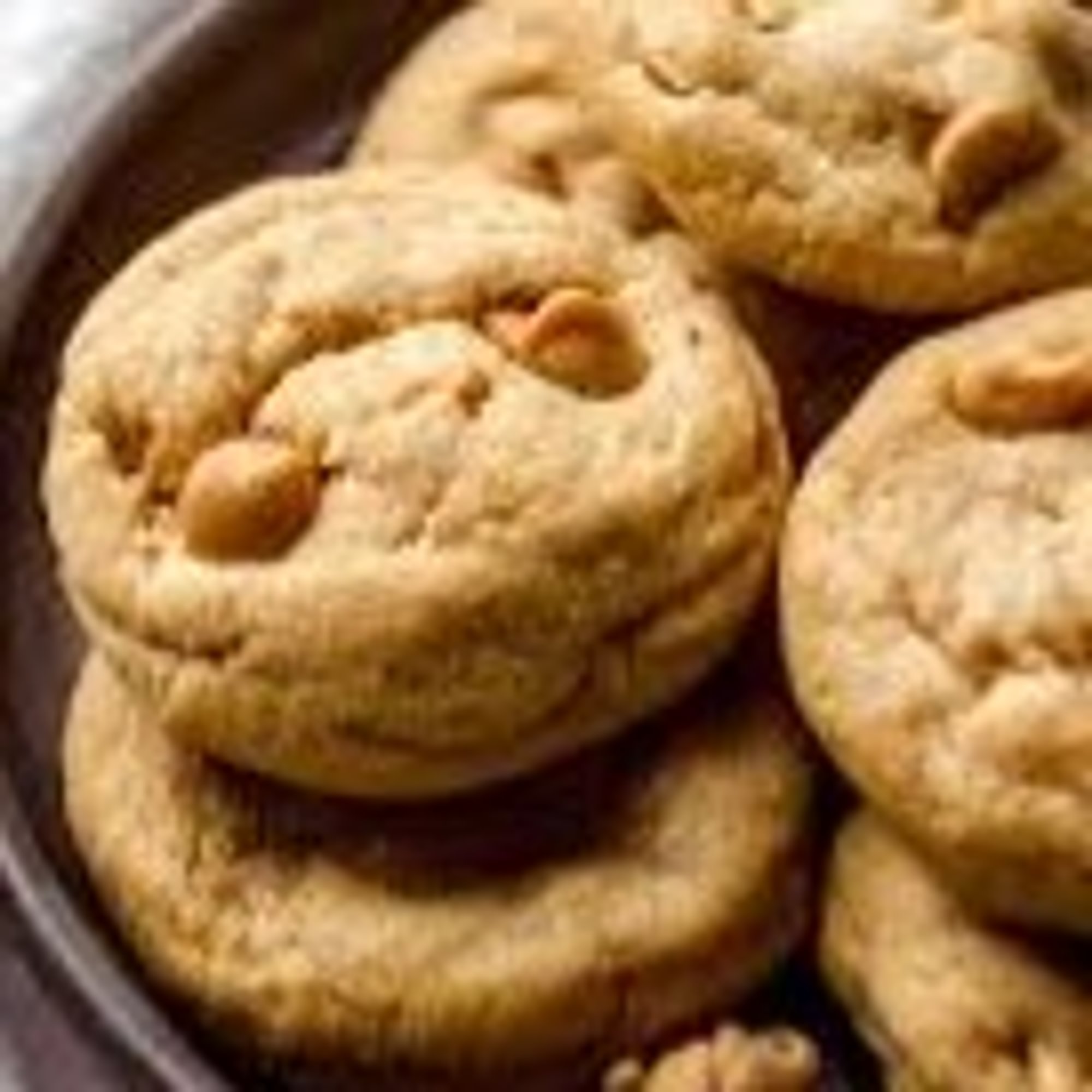 Peanut Butter Cookie