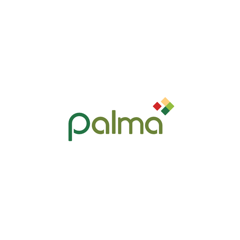 Palma Financial Services, Inc.
