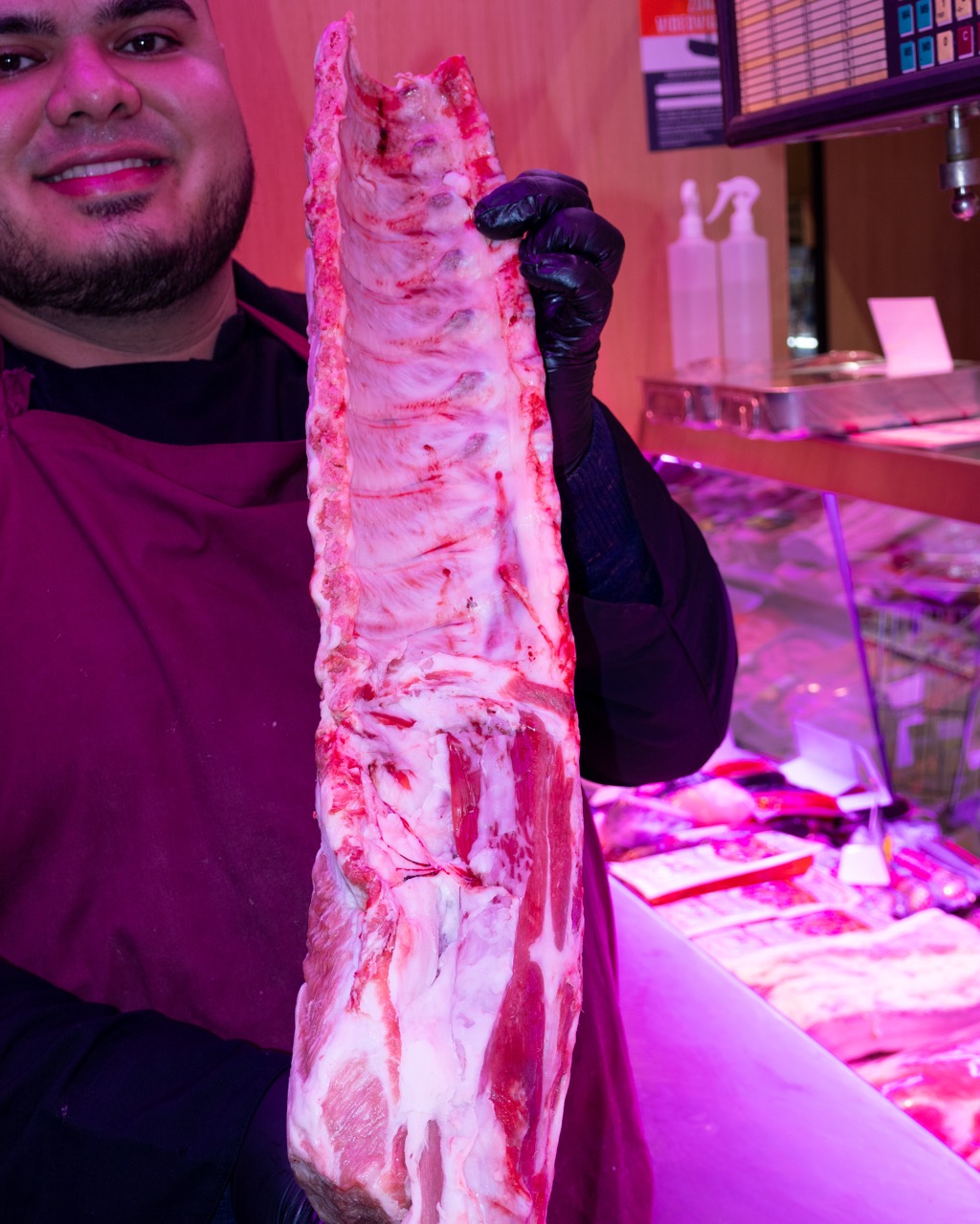 Galería en miniatura