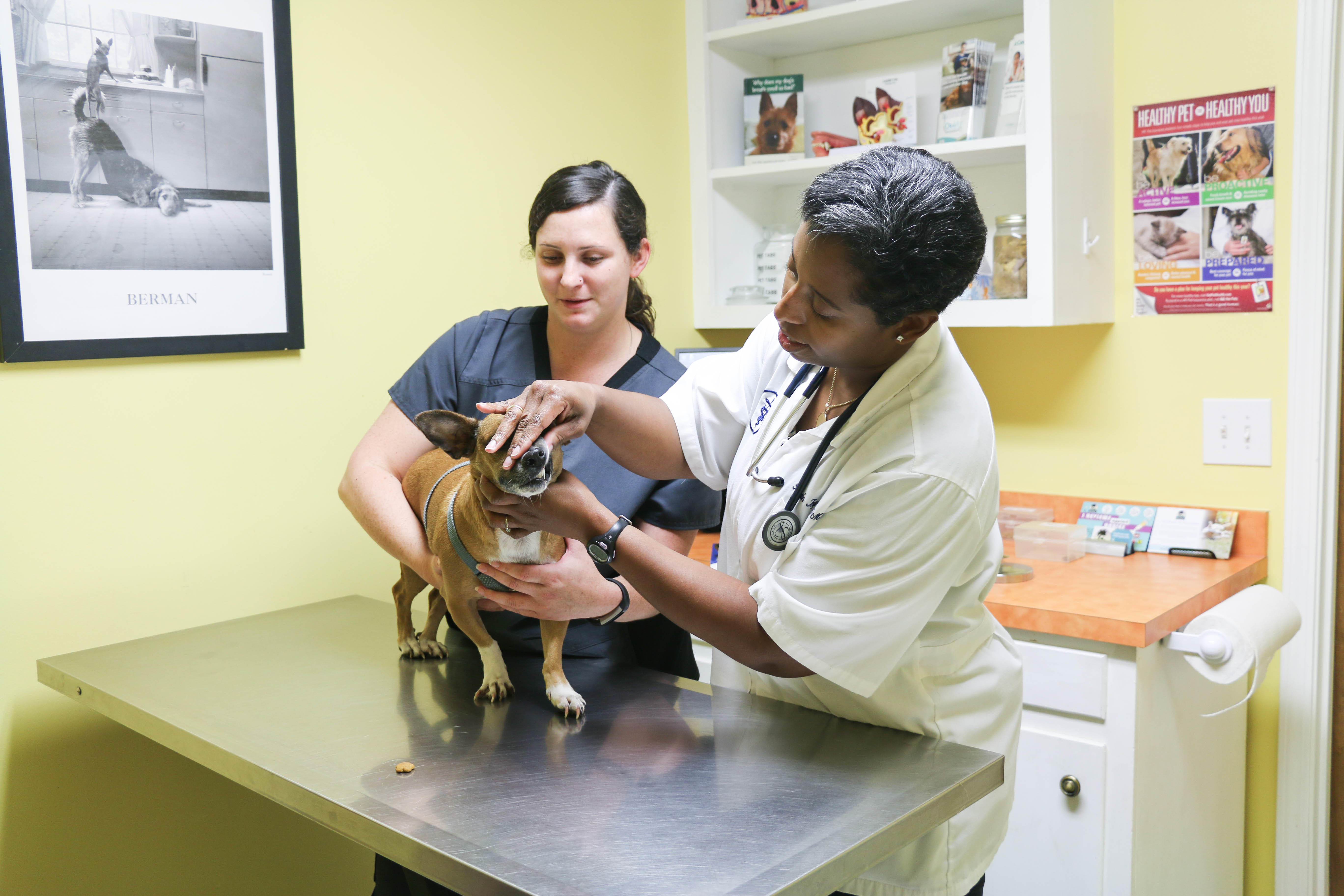 The Animal Hospital of North Charleston Photo