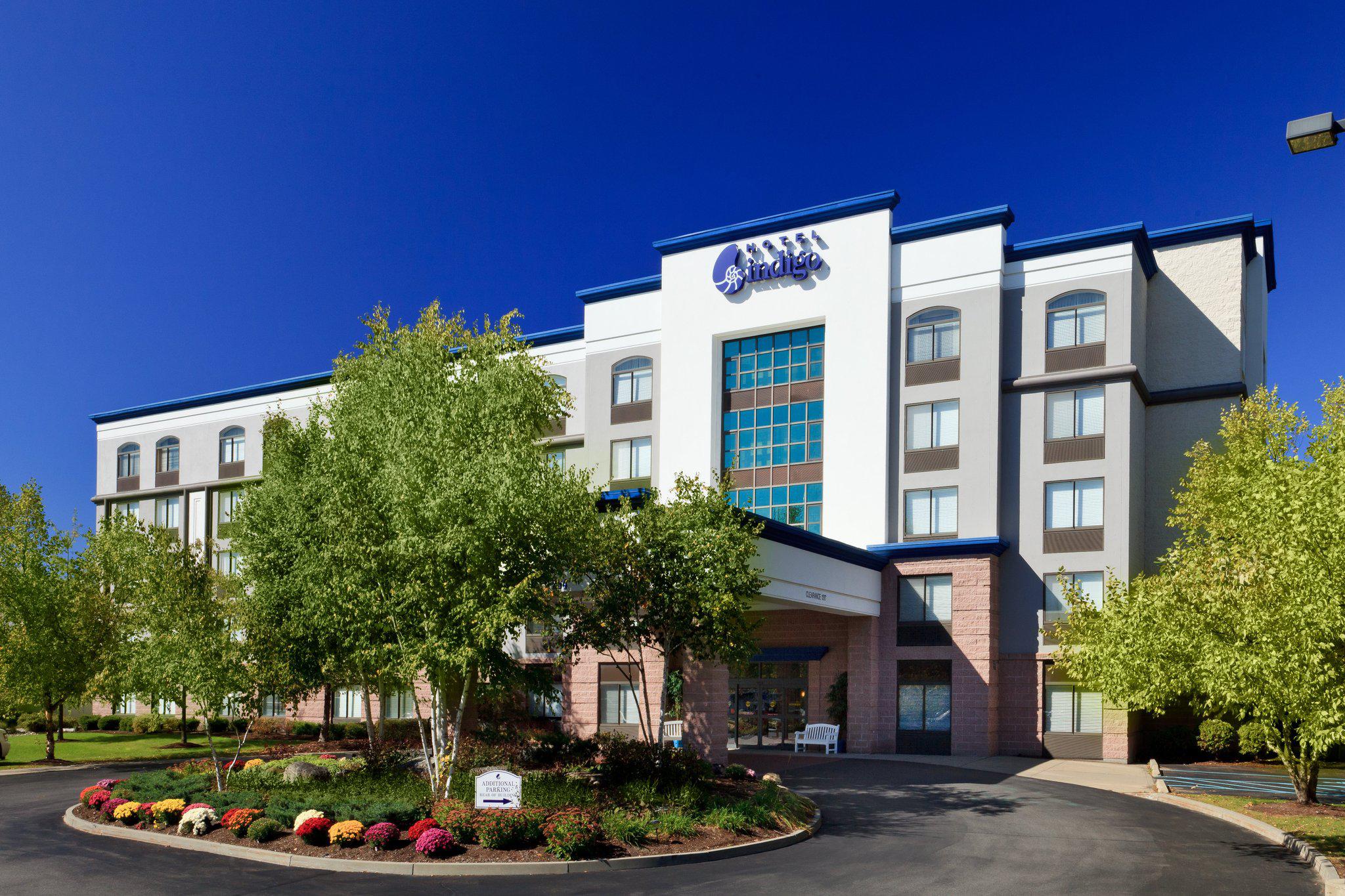 Hotel Indigo Albany Airport - Wolf Road Photo