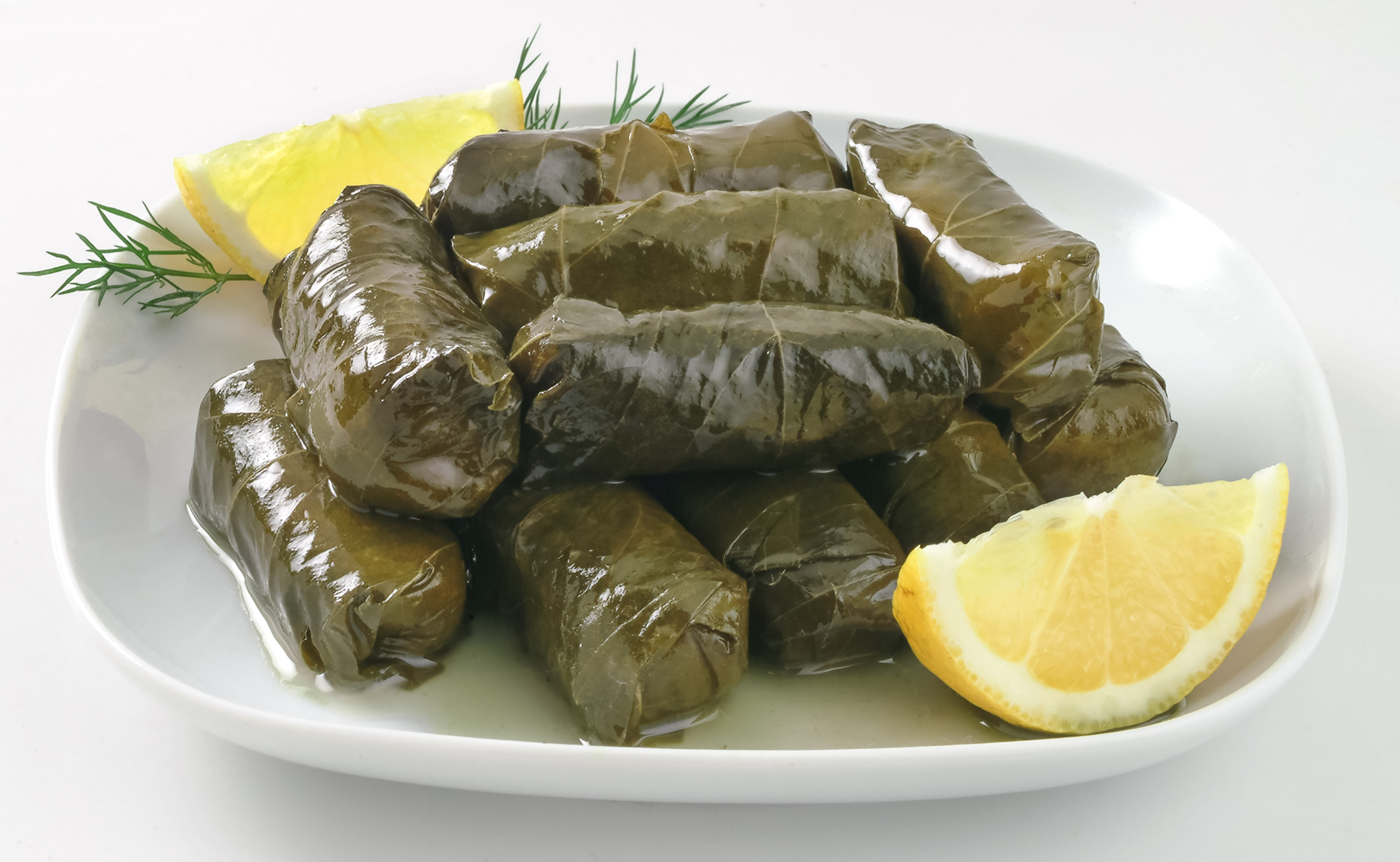 DOLMADAKIA