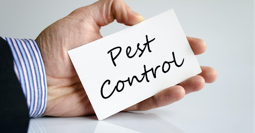 NJ Pest Control Image
