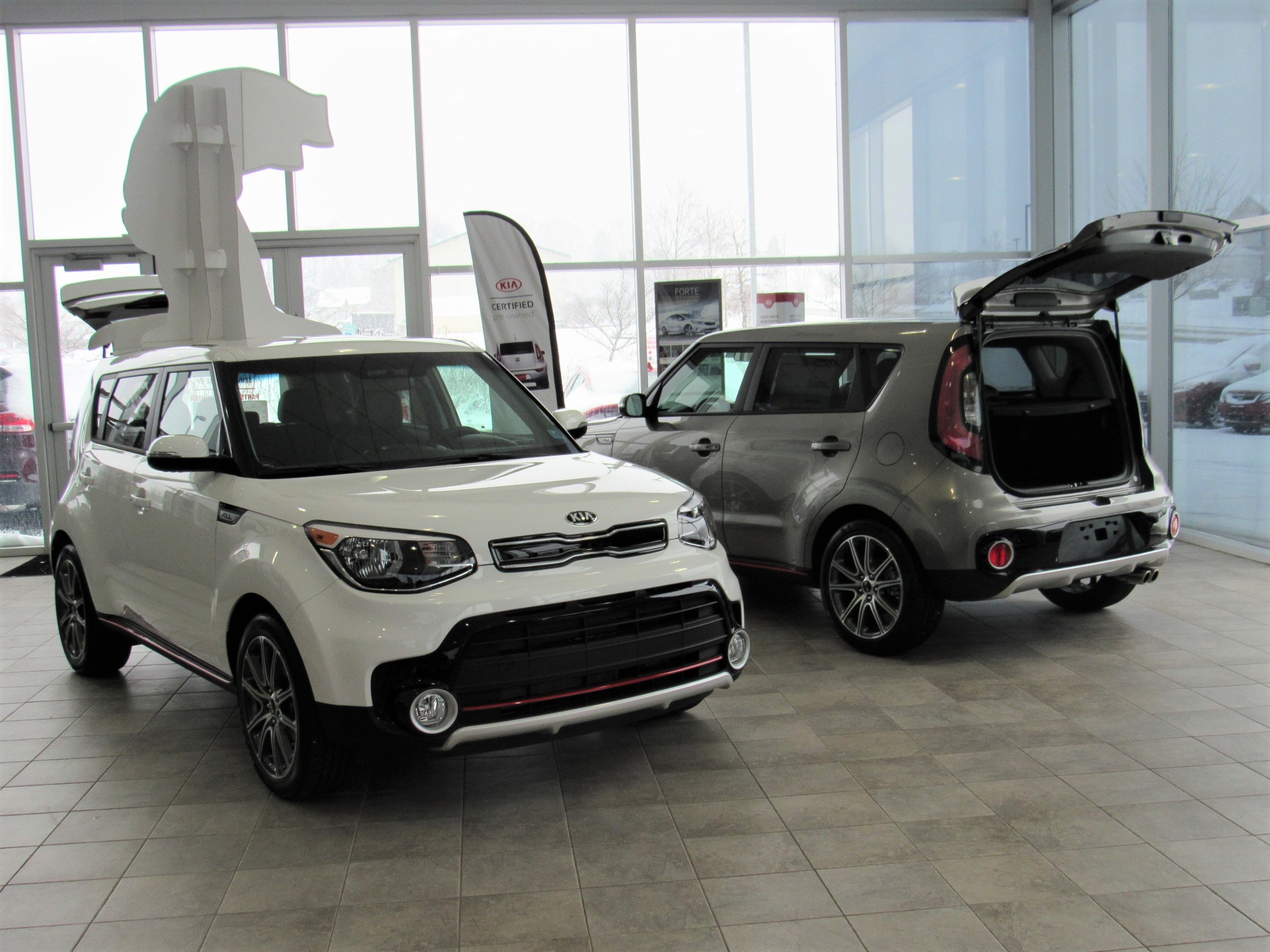 Renn Kirby Kia Image