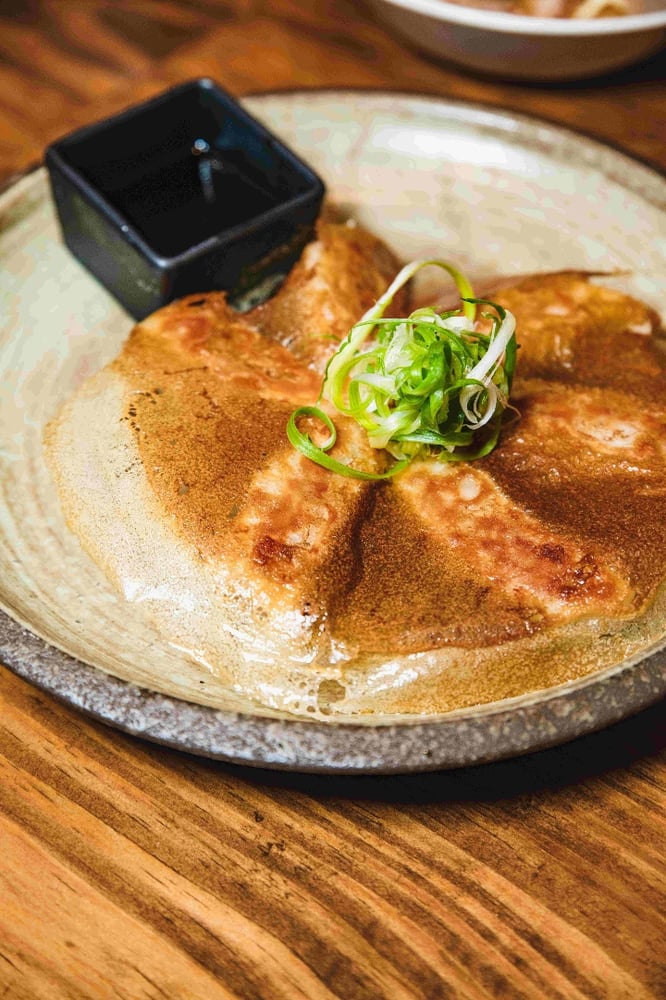 Vegetable Gyoza (6)