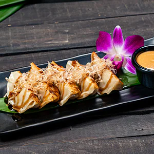 Pork Gyoza