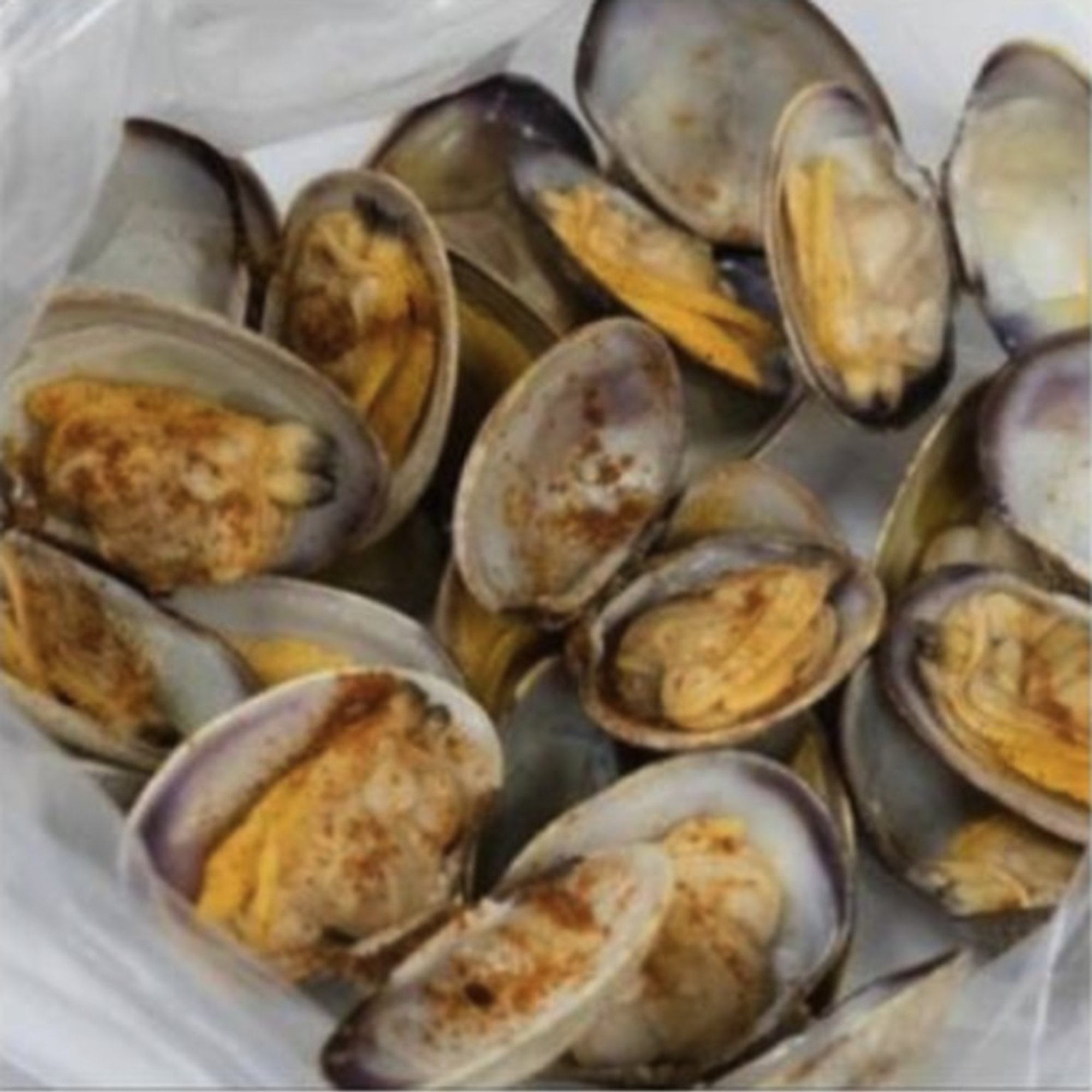 Clam