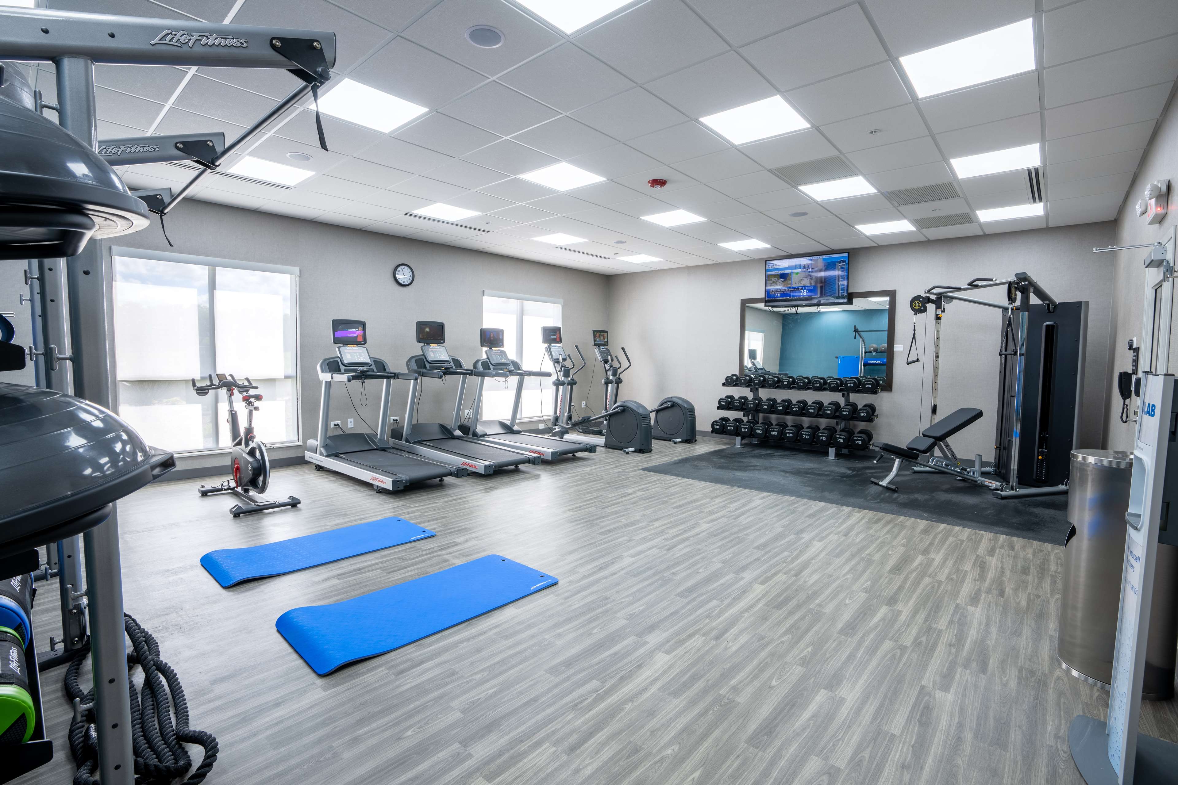 Health club  fitness center  gym