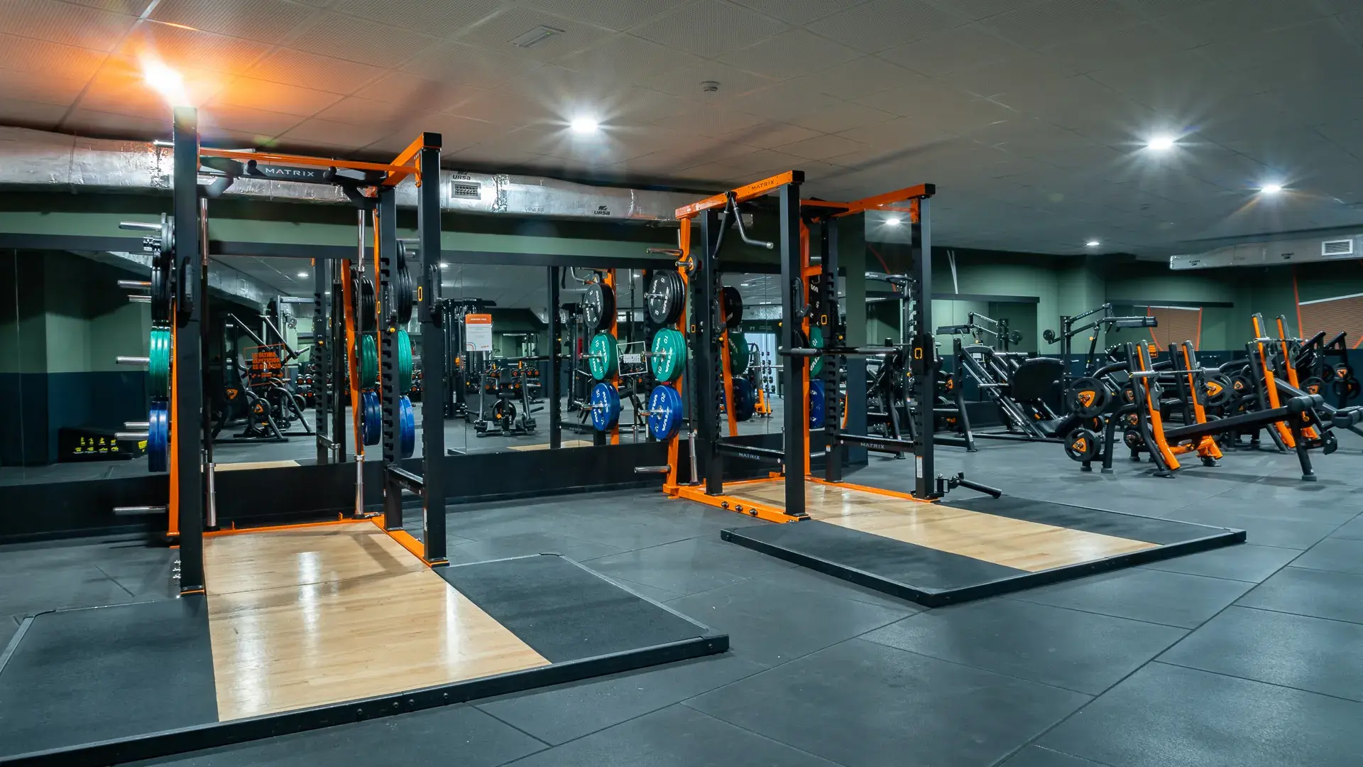 Galería en miniatura