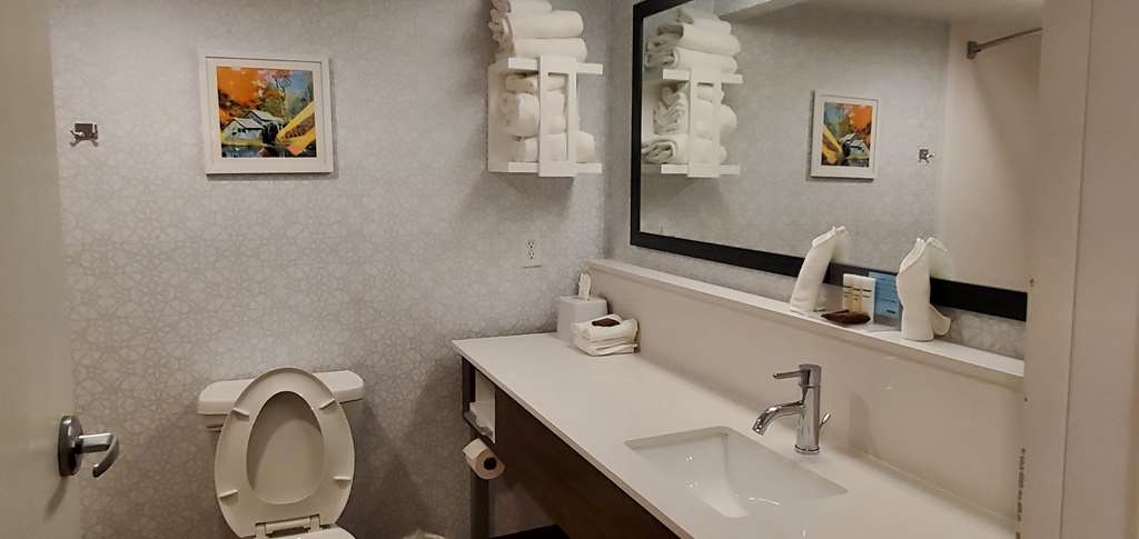 Hampton Inn Hillsville Image