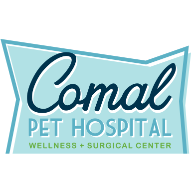 Comal Pet Hospital