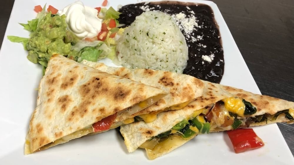Cheese Quesadilla Platter Lunch