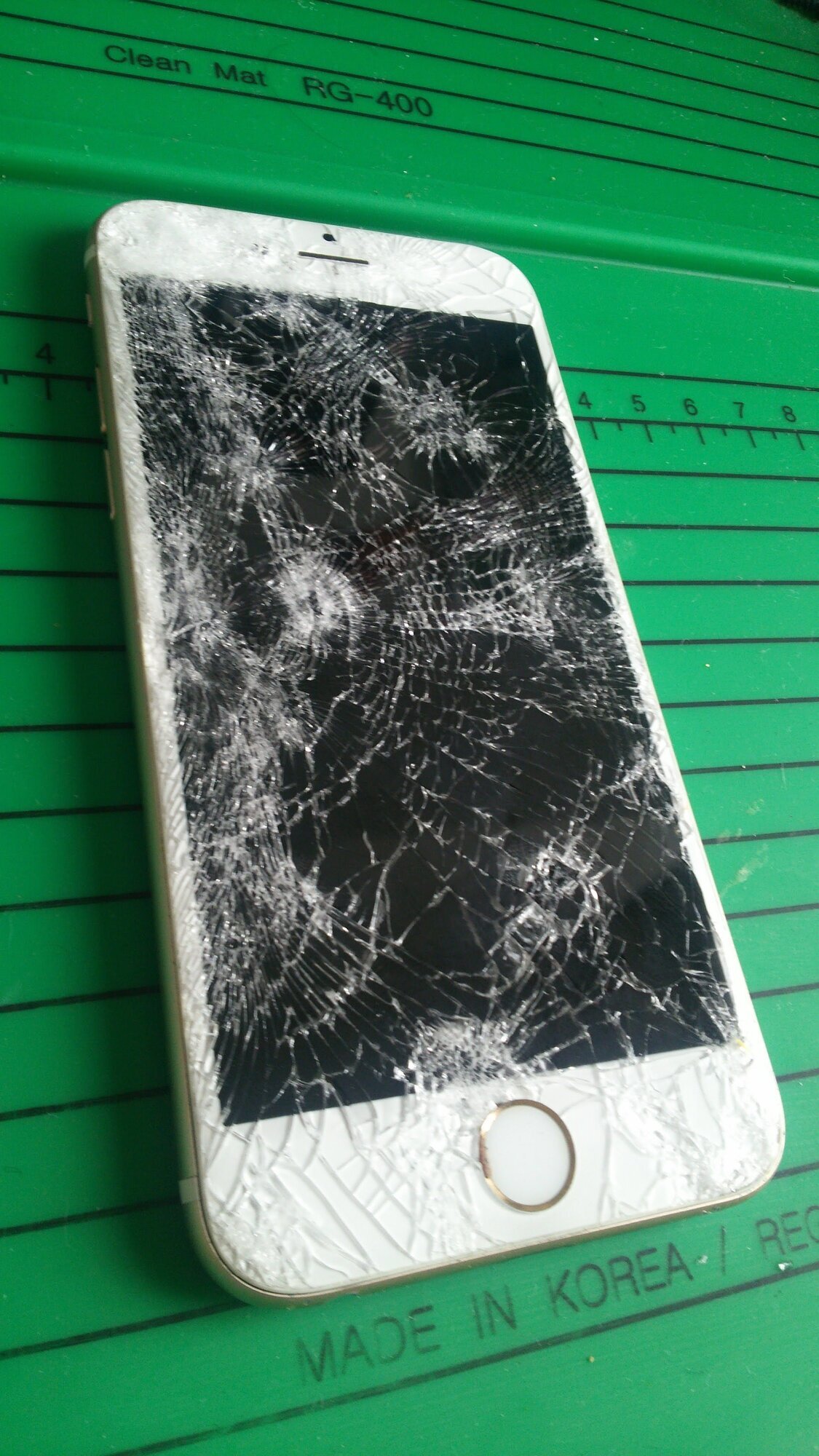 Miniature de la galerie