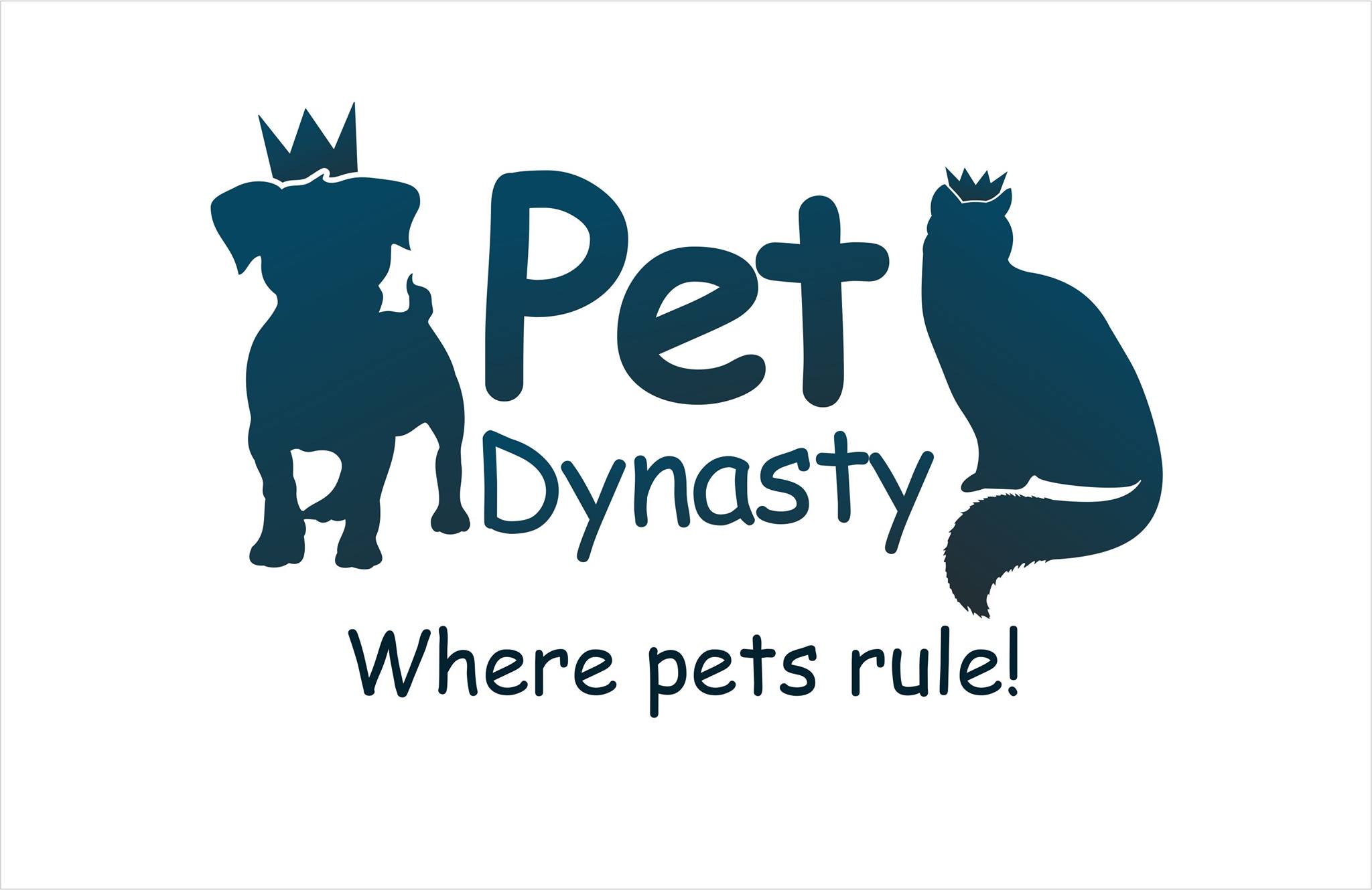 Pet Dynasty: Boarding  Daycare  Grooming & Training Academy