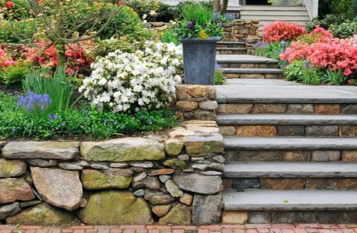 Superior Landscape Specialist Inc. Photo