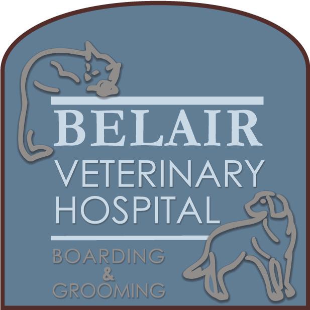 Belair Veterinary Hospital Photo