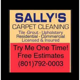 Sally's Carpet Cleaning, LLC Logo