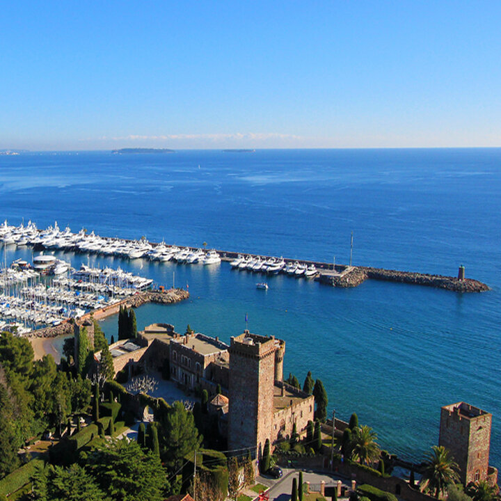 Miniature de la galerie