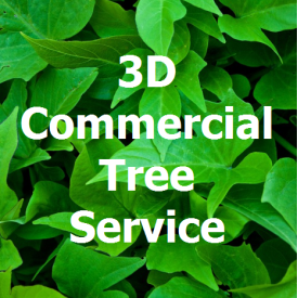 3D Commercial Tree Service Logo