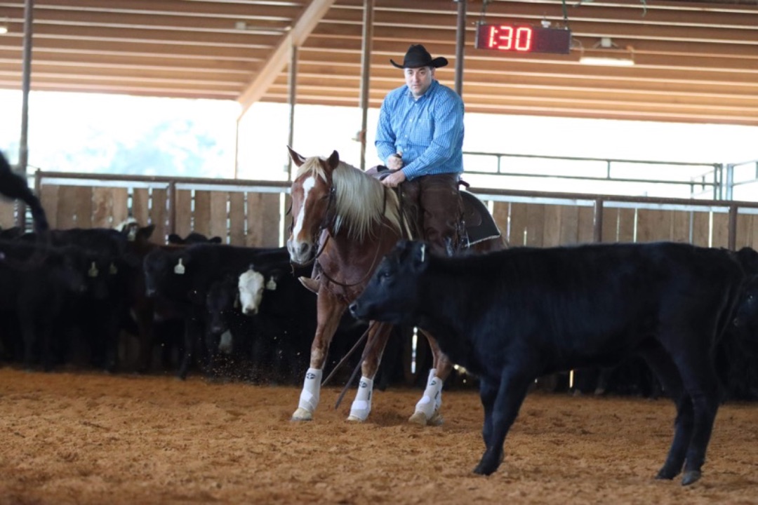 CTG Horse, LLC Image