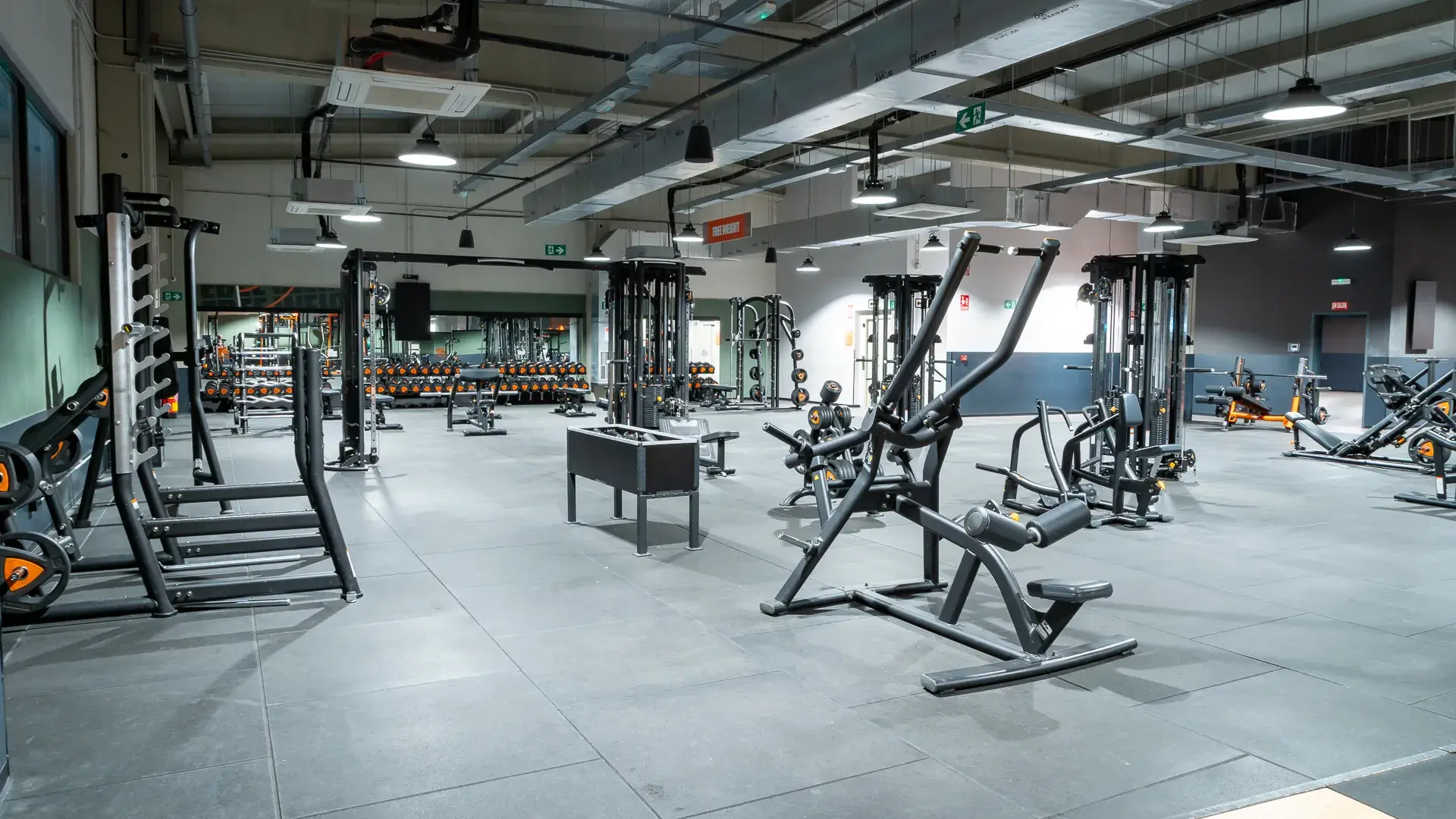 Galería de imágenes