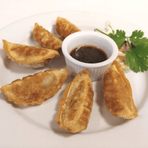 Fried Chicken Dumpling