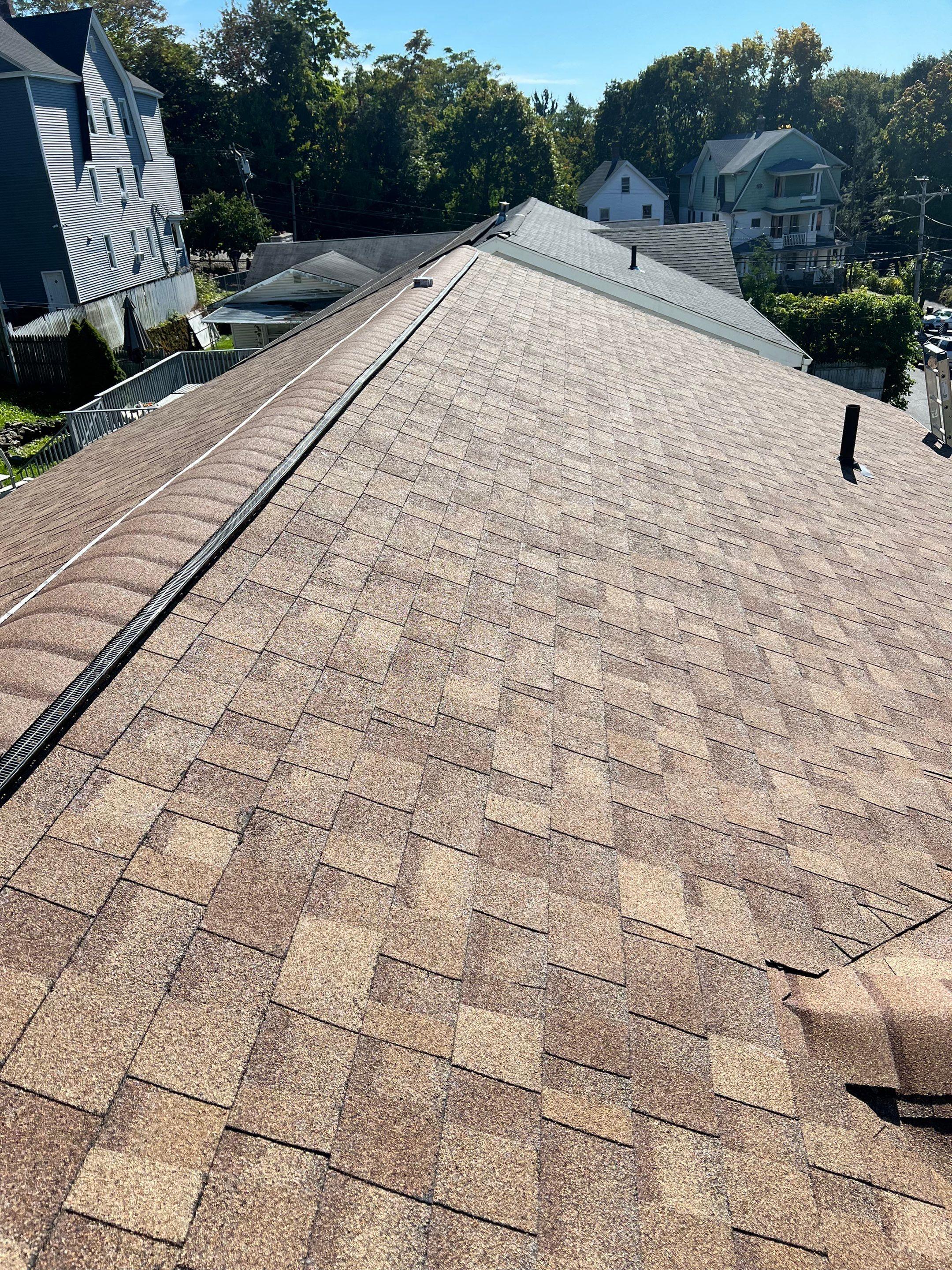 Rhino-Back Roofing Image