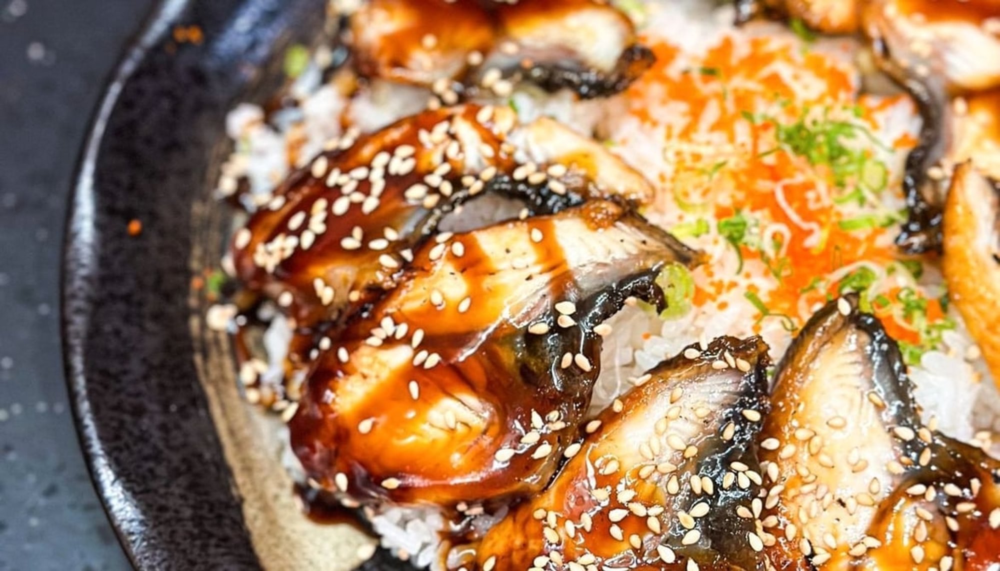 A18 Unagi Don