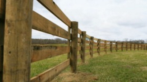 Commercial Fencing