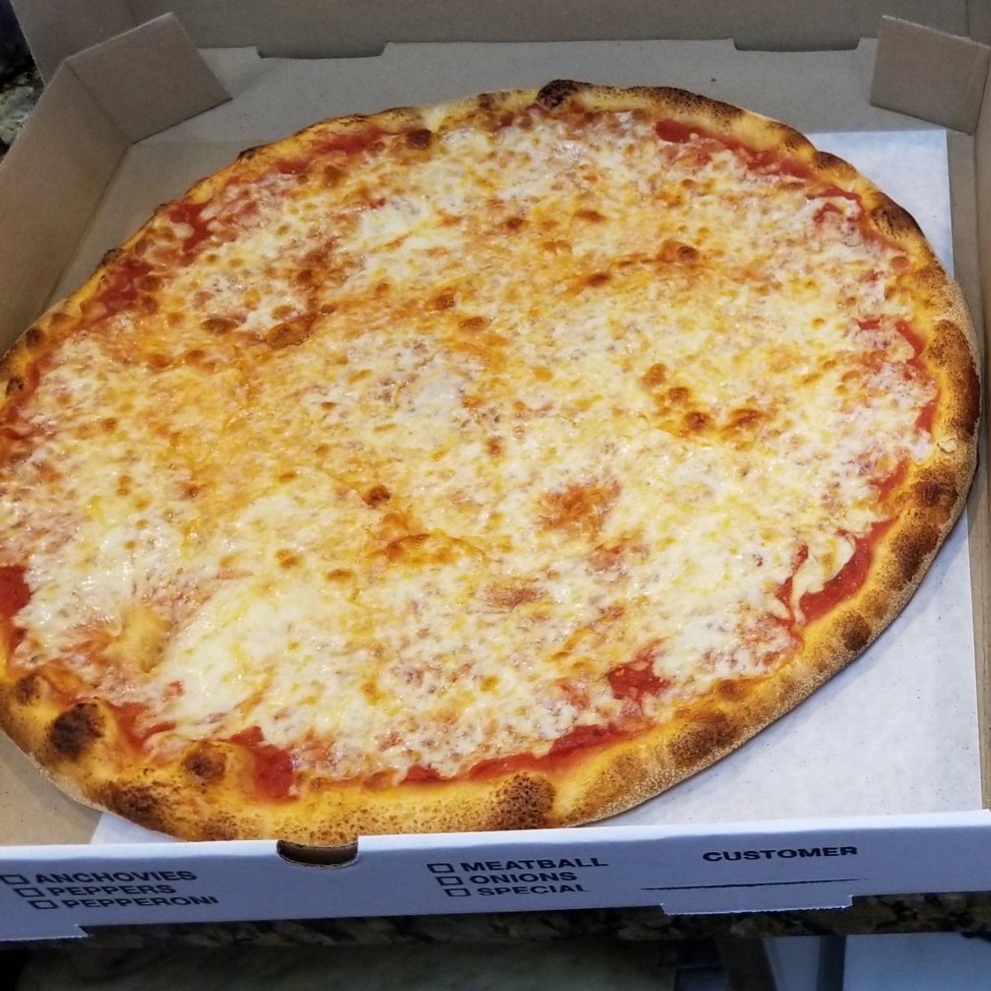 Plain Cheese Pizza
