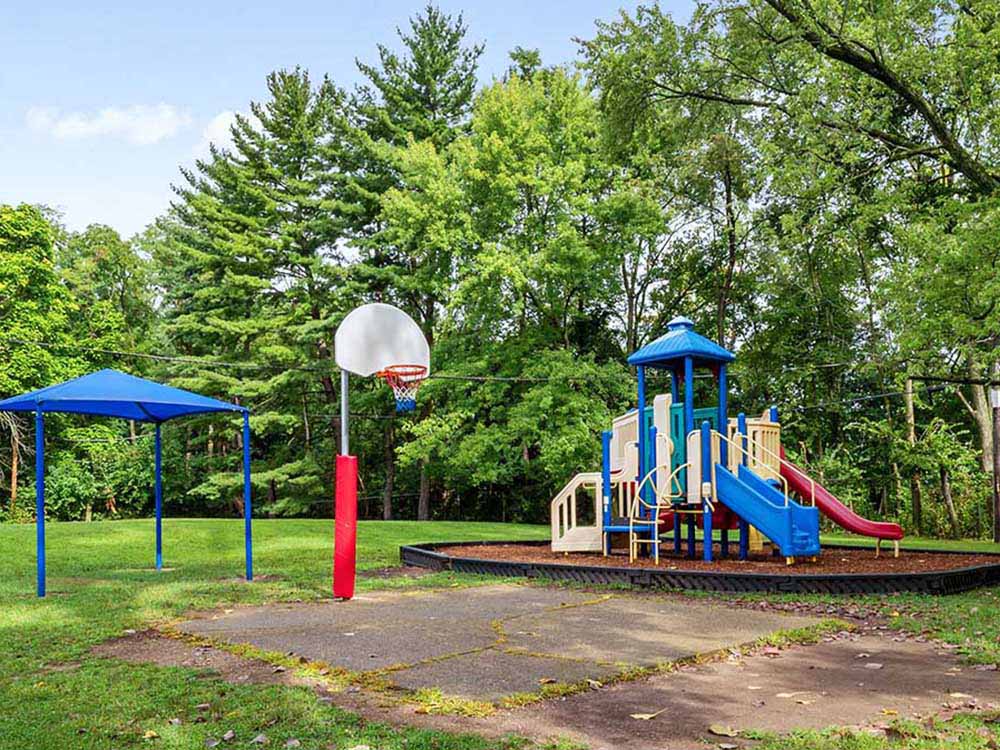 Skyrise School on West 86th Street Image