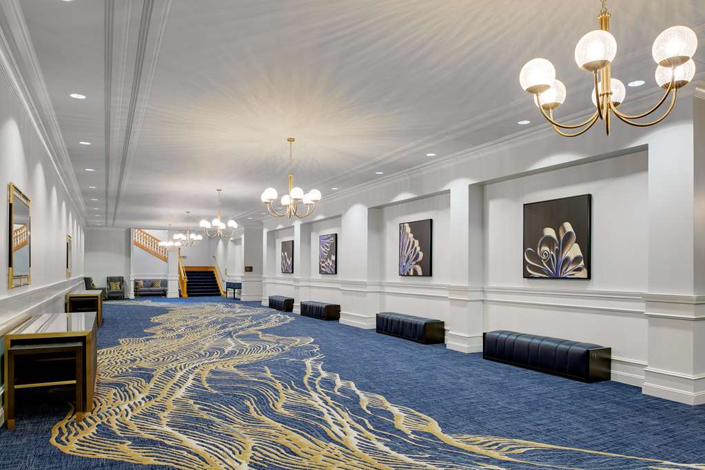 Hayes Mansion San Jose, Curio Collection by Hilton Image