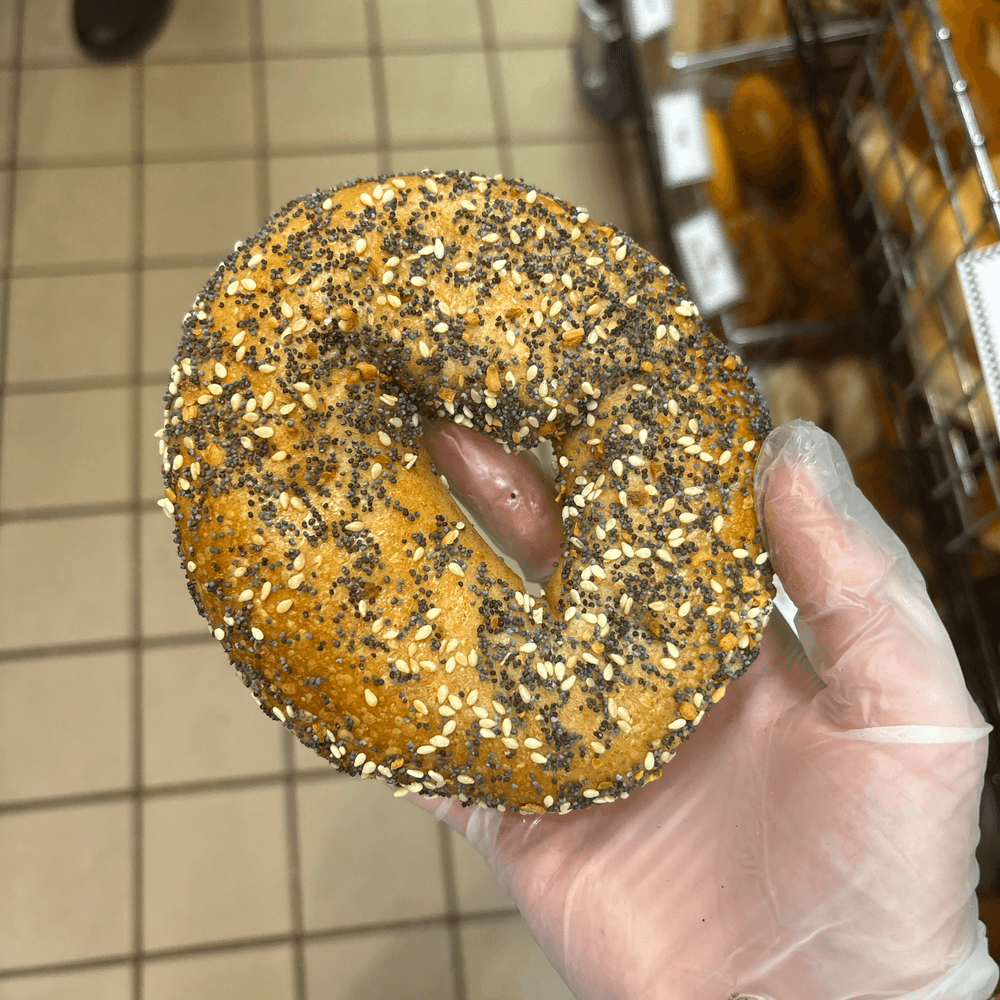 Whole Wheat Everything Bagel