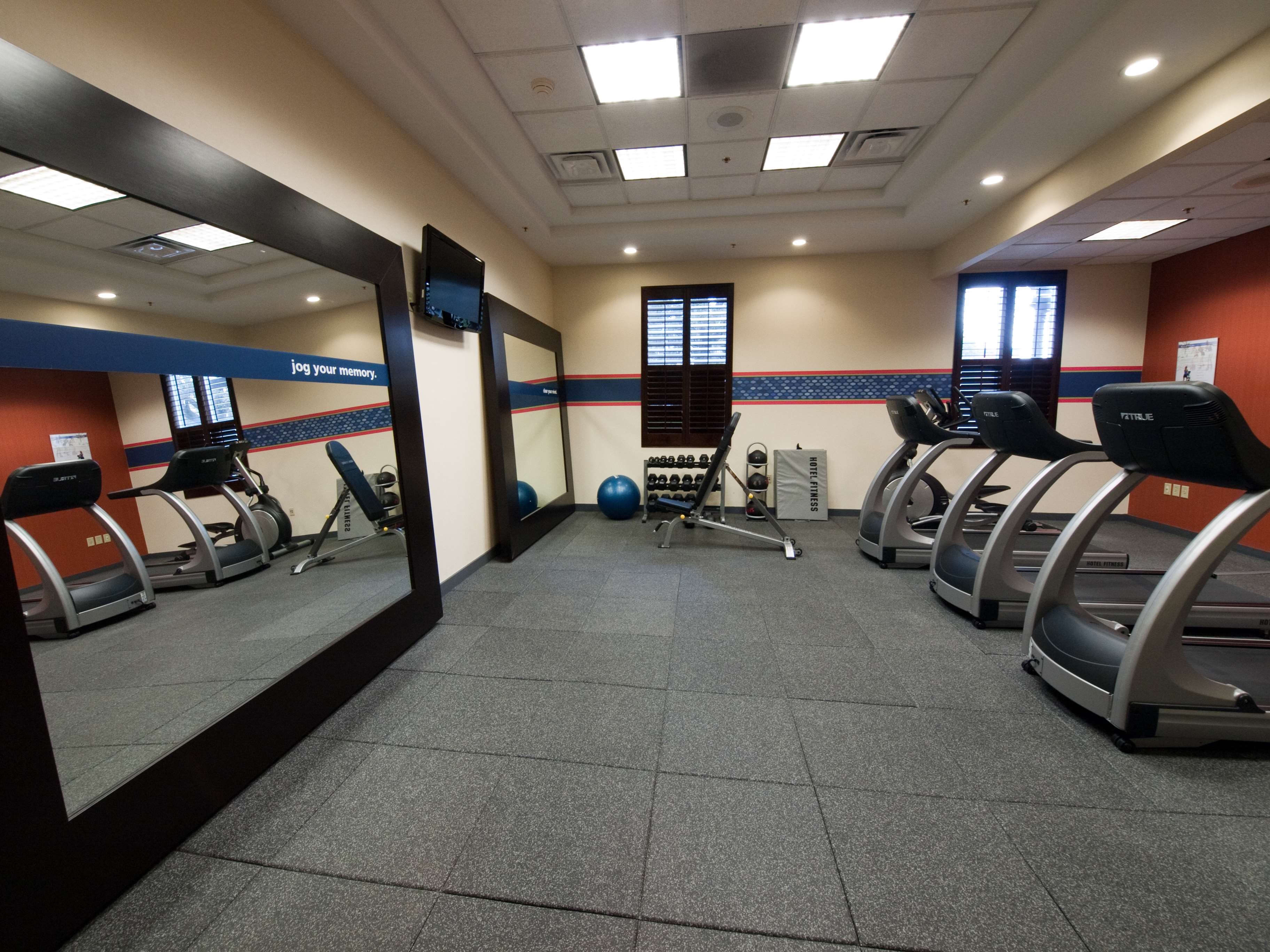 Health club  fitness center  gym